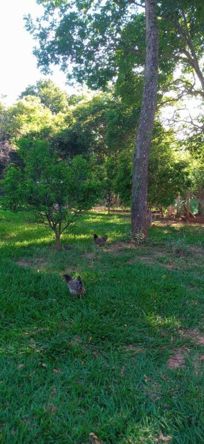 Chales Jardim Da Serra Serra do Cipo National Park エクステリア 写真